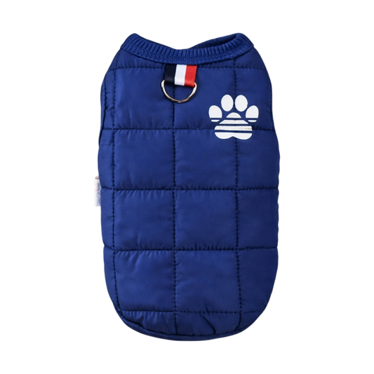 FrostPaw Blue Jacket