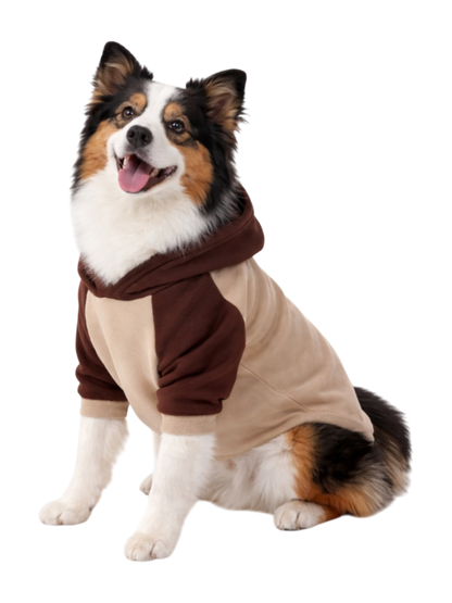 WarmBuddy Hoodie