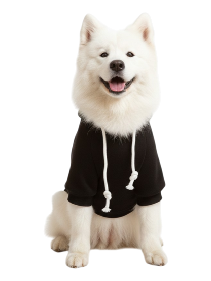 Midnight Buddy Hoodie