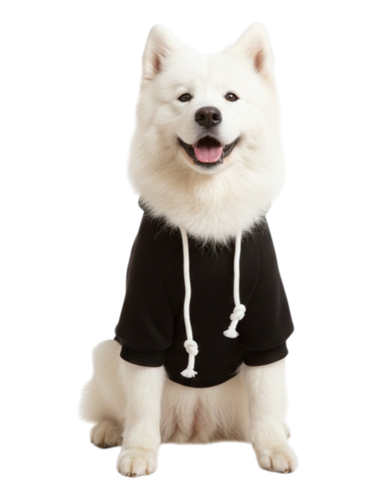 Midnight Buddy Hoodie