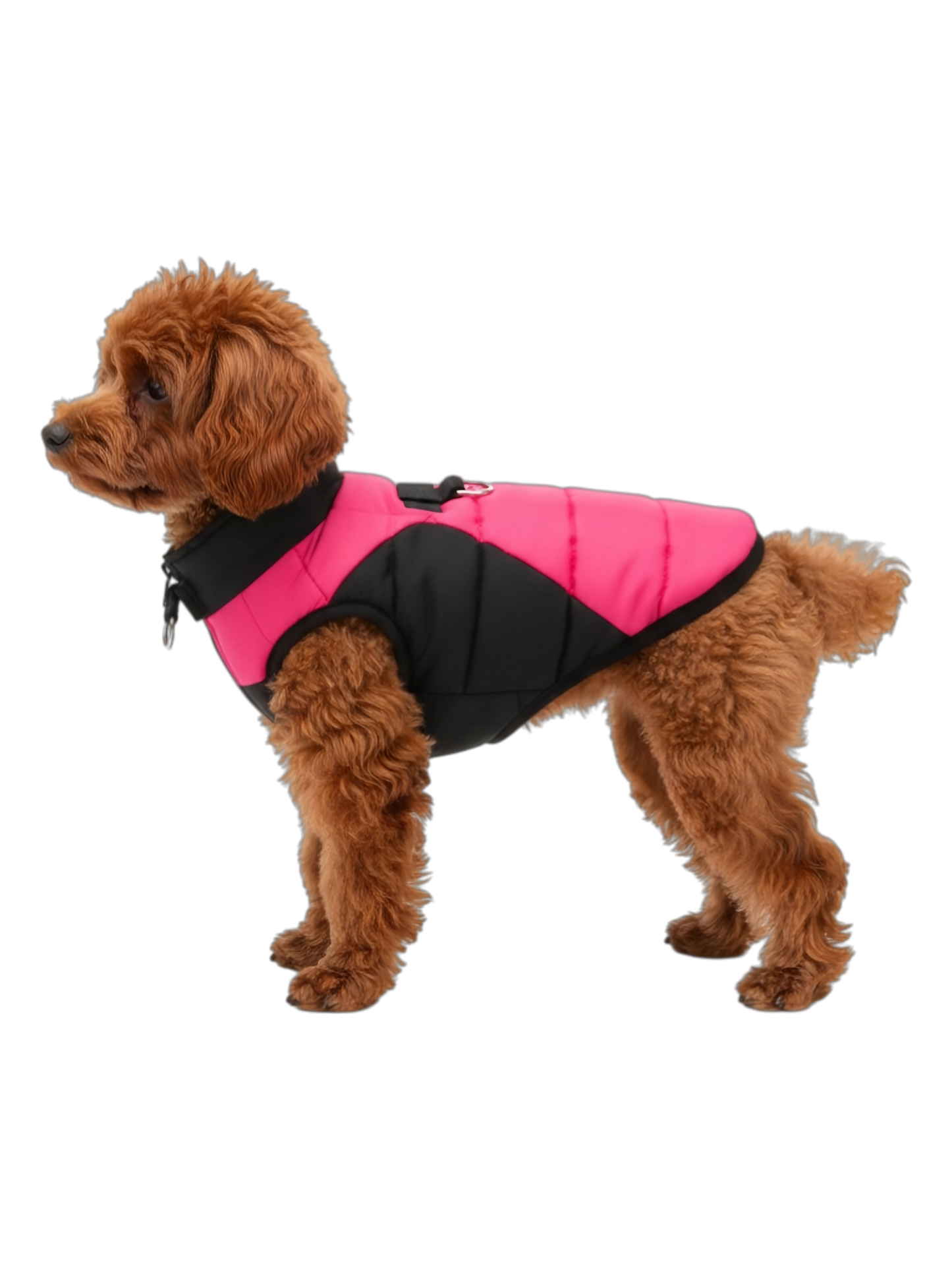 PinkShield Jacket