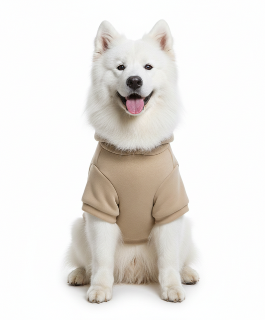 Vanilla Cloud Hoodie