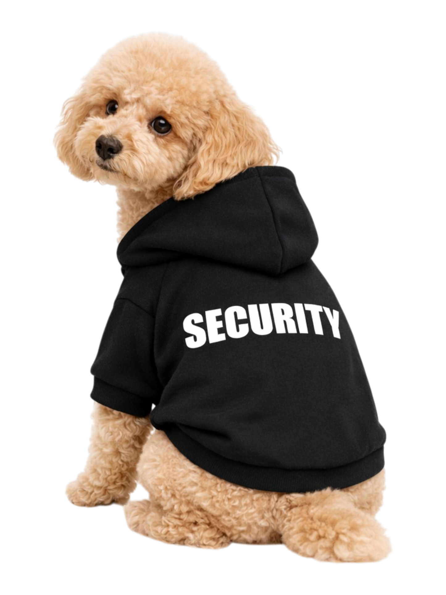 Mini Guard Hoodie