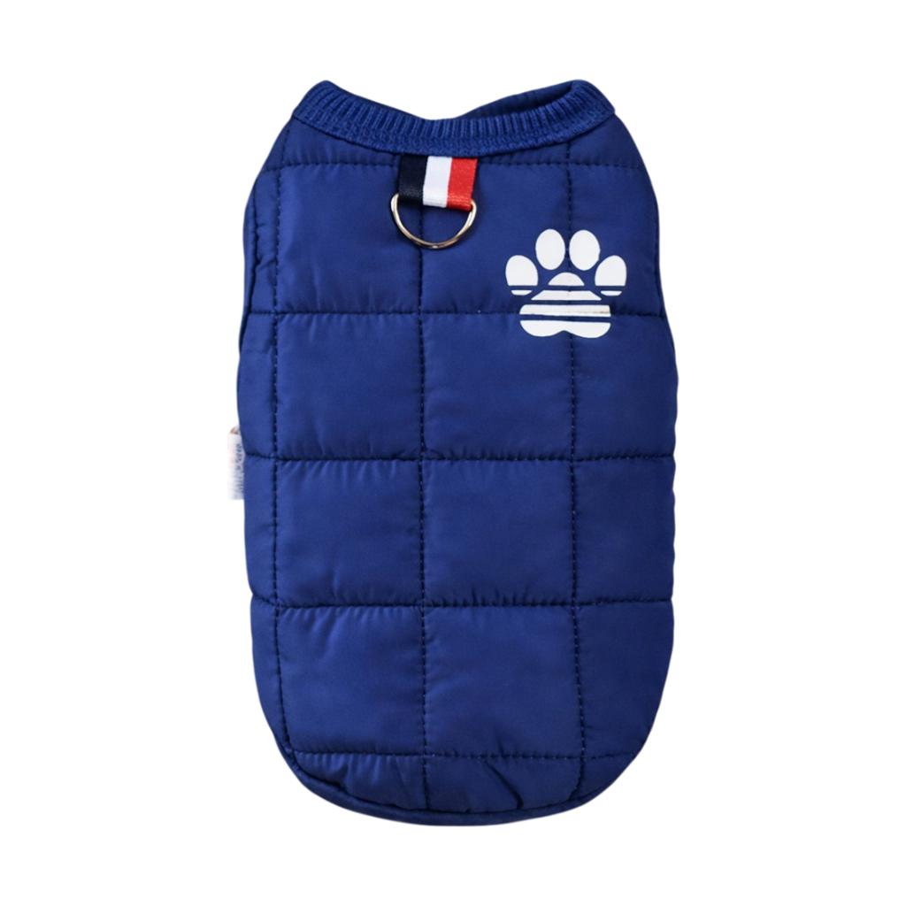 FrostPaw Blue Jacket